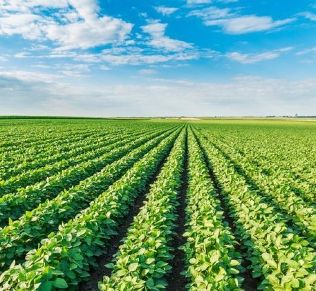 ������ ������� ������ �������� ��� � �����