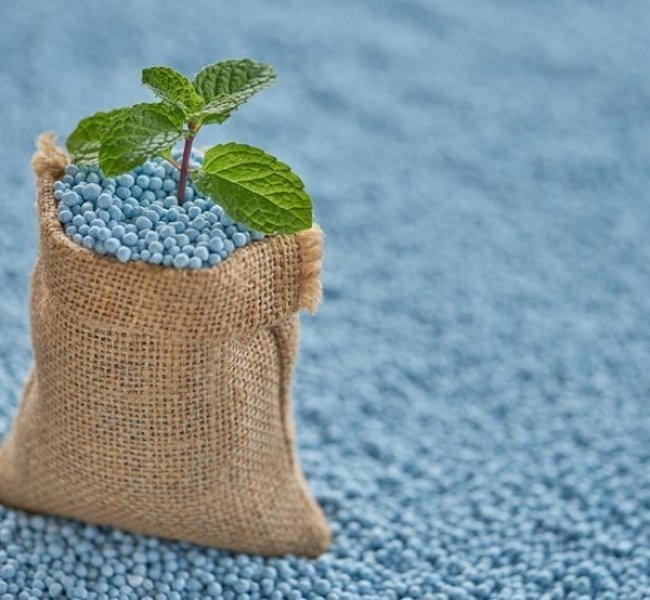 ������� ������� ����������� �� 4% �� II ��������