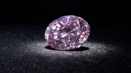 ������� ����������: ���������� ������ ����� � �����