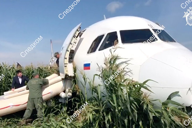 Всем пассажирам аварийно севшего в Подмосковье А321 выплатят по 100 тысяч рублей Всем пассажирам аварийно севшего в Подмосковье А321 выплатят по 100 тысяч рублей