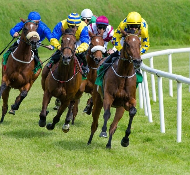 ��� ������. ���, ����� � ������ 8211; �������� ���������� �������