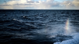 � ������ ������� ������������ �������������� �� ��������� �������