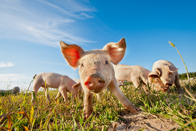 ����� �������� � ����� ���������� �� ���� ������ ��� �� �������