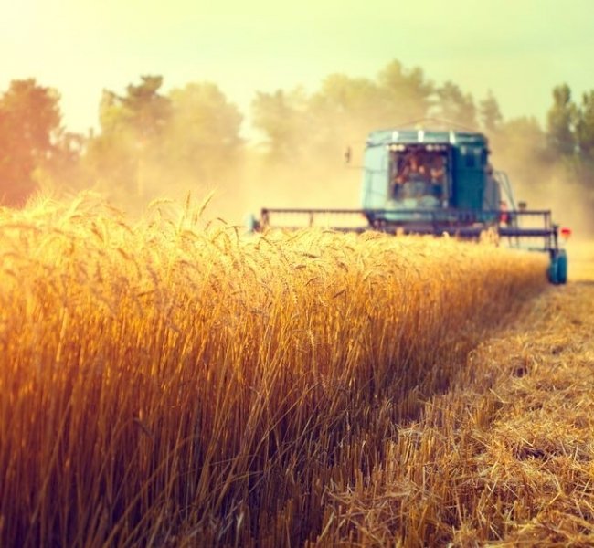 ������� ���������� � ����� ������� �� ���� �������� ������-���������