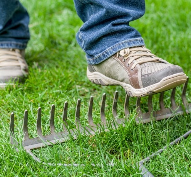 Премаркет. Опять двадцать пять Премаркет. Опять двадцать пять
