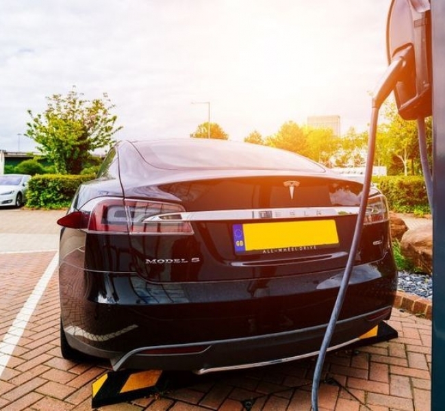  Tesla   10%,    $500