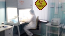 ��� ���� �� ����� ������ ������� ����������� ����� ����� ��� ���� � 2020 ����