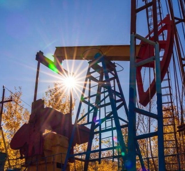 ���� �� ����� ���������� �� 25%