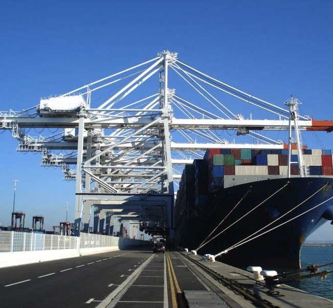 ���� ��������� �� 2019. ��������� ����������� �����������