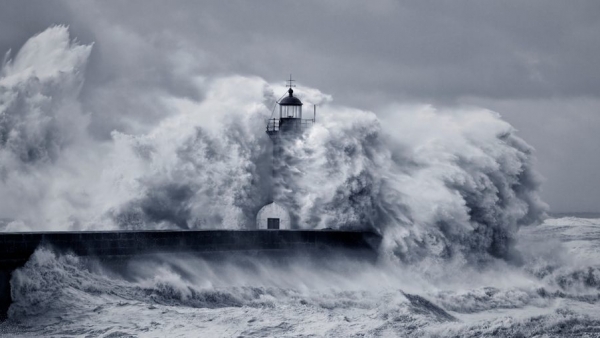 �������� � �����������. ������������� �� ������ ����� ��������