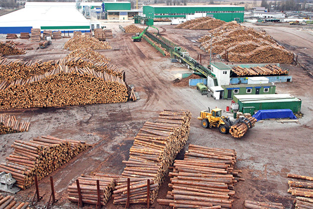  Segezha Group    I    1,1%