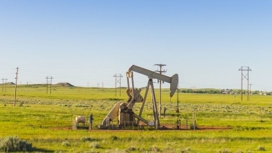 ������� ������� ���� �� ����� ������� — ��� ������ ���� ������