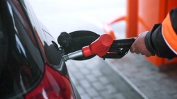 ���� �� ������ � ������ � ���� ������� �� 0,8% � ��� � �� 1,5% � ���� �������� ����