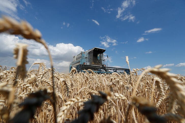 Украина в 21г может собрать более 75 млн т зерна Украина в 21г может собрать более 75 млн т зерна