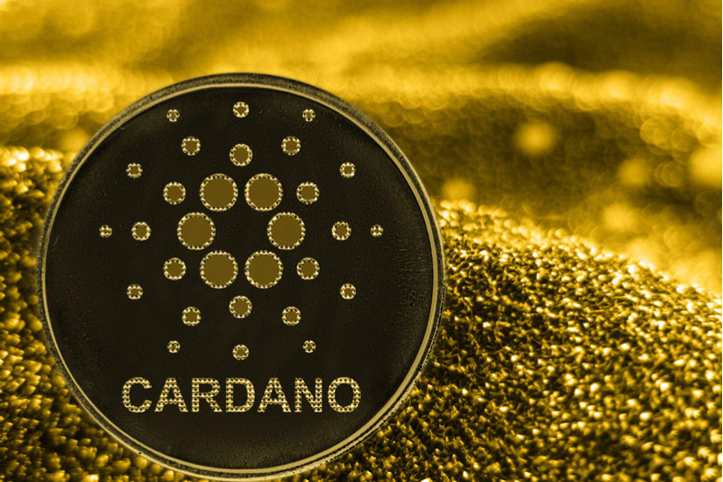 Криптовалюта Cardano подросла на 13% 