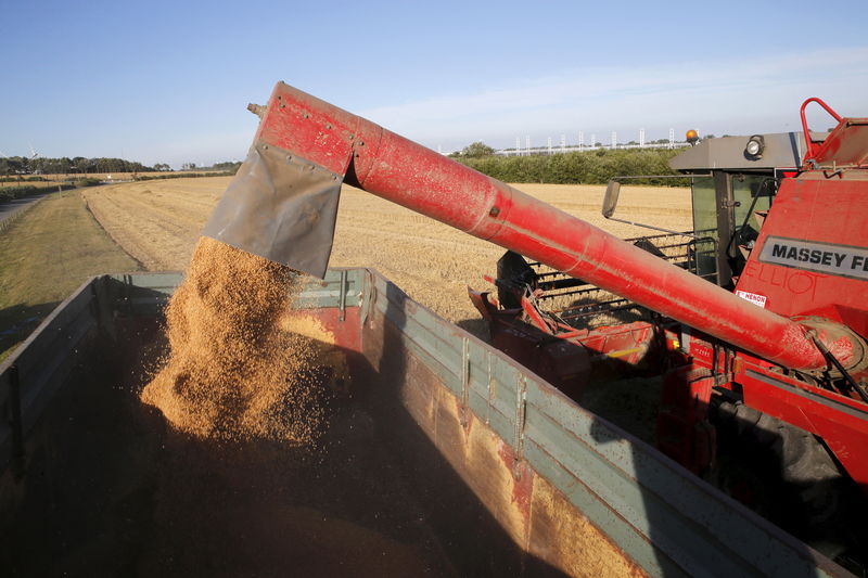 Экспортная пошлина на пшеницу с 15 сентября составит $52,5, на ячмень - $33,1, на кукурузу - $49 за тонну 
