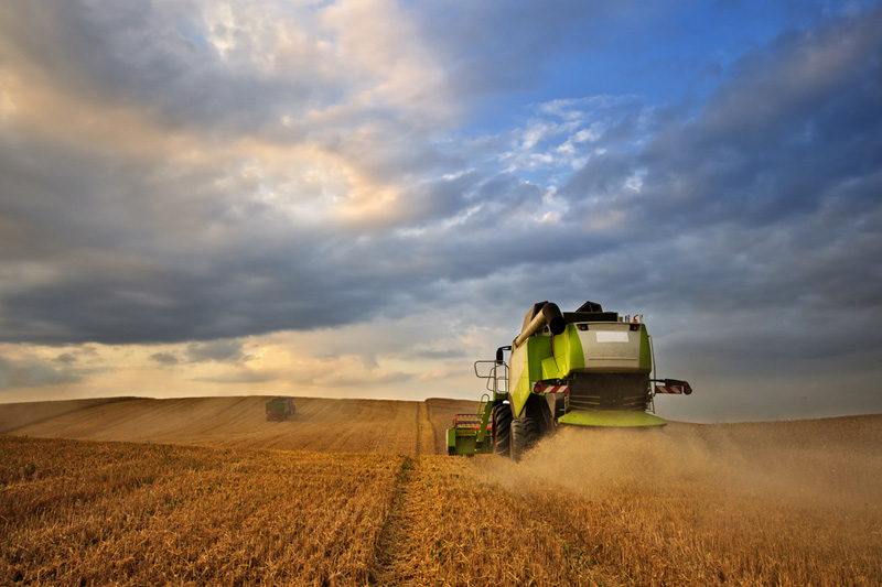 Экспортная пошлина на пшеницу из РФ с 29 сентября повышена до $53,5 за тонну, на ячмень - до $35,3