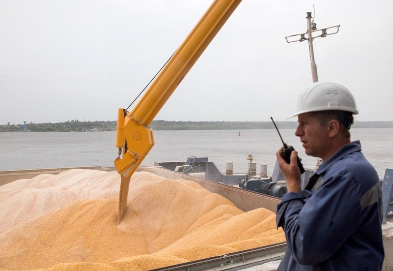 Украина с начала сезона 21/22 гг экспортировала 14,36 млн т зерна -- Минагрополитики