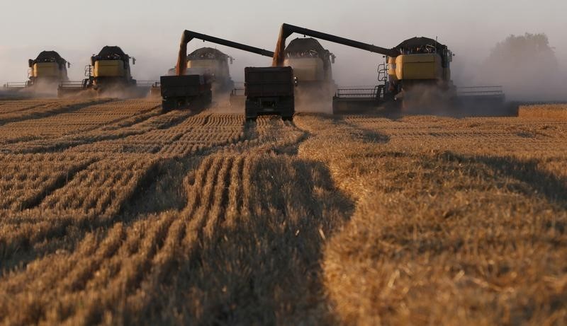 Экспортная пошлина на пшеницу из РФ с 17 ноября повысится до $77,1, на ячмень - до $66, на кукурузу - до $62,9 за тонну 