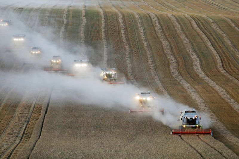 Урожай зерна в РФ в 22г ожидается на уровне 123-126 млн т, пшеницы - 75-84 млн т -- аналитики