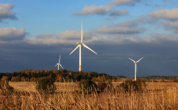 В распределительных сетях «Россети Юг» растет доля «зеленой» электроэнергии
