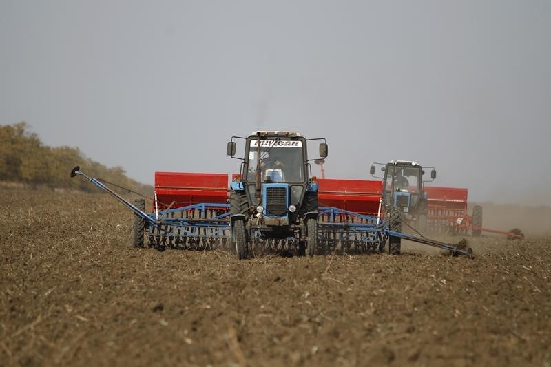 Турция вернула себе первенство по закупкам российской пшеницы