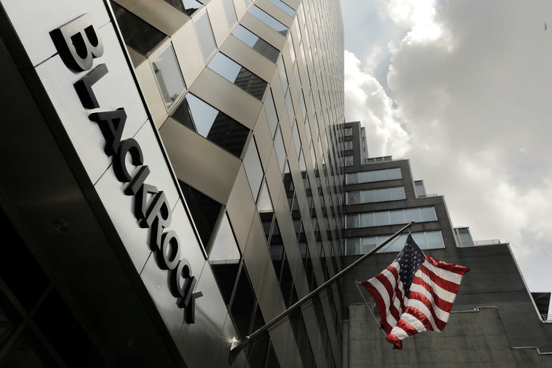 BlackRock исследует метавселенную BlackRock исследует метавселенную