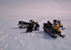 ������ ������� ������ ��������� ����������