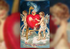 ���� � �������: 14 �������