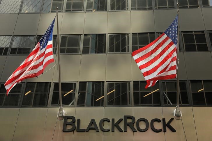 ������������ BlackRock ������ ���� � ����������� �� ����� 10%