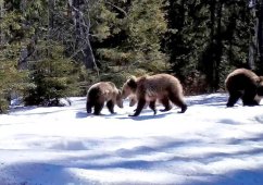 � ����� � ���. ����������� � ���������� ������� �������� �������� ������� ��������