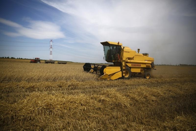 РФ с 1 по 23 июля увеличила экспорт пшеницы на 30%, спрос растет - эксперт