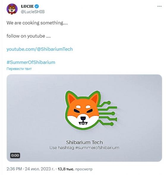  Shiba Inu   YouTube    Shibarium