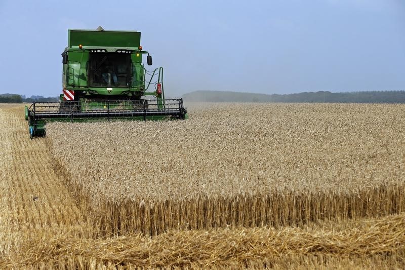 Мали поблагодарила Россию за своевременные поставки пшеницы и удобрений