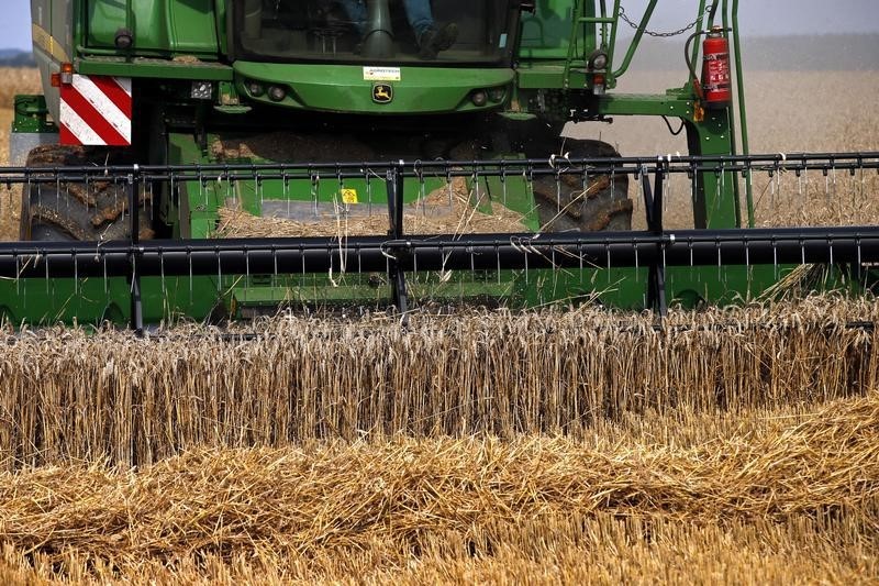 Россия поставила в Африку рекордный объем пшеницы, заявил глава Минсельхоза