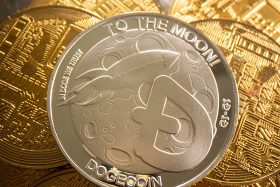 Altcoin Sherpa: Dogecoin    20%   