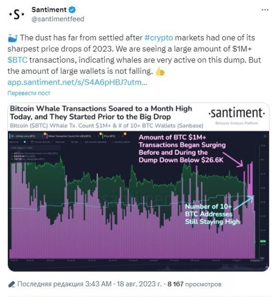        $ 26000