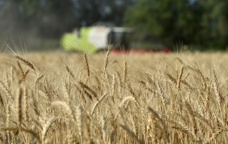 Казахстан запретит продажу и аренду сельхозугодий иностранцам -- президент Казахстан запретит продажу и аренду сельхозугодий иностранцам -- президент