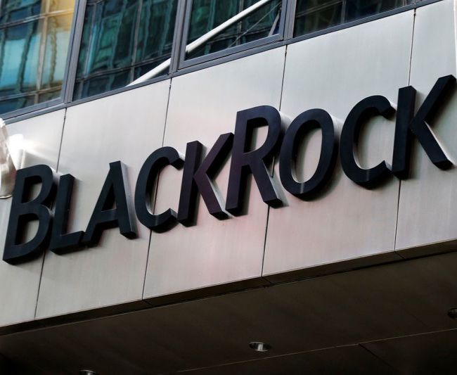 BlackRock: активы развивающихся рынков могут вырасти после неуверенного старта 2021г BlackRock: активы развивающихся рынков могут вырасти после неуверенного старта 2021г