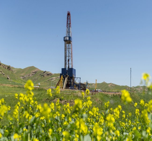 �������� ��������� ��������� �� ���������������� � ���� �������