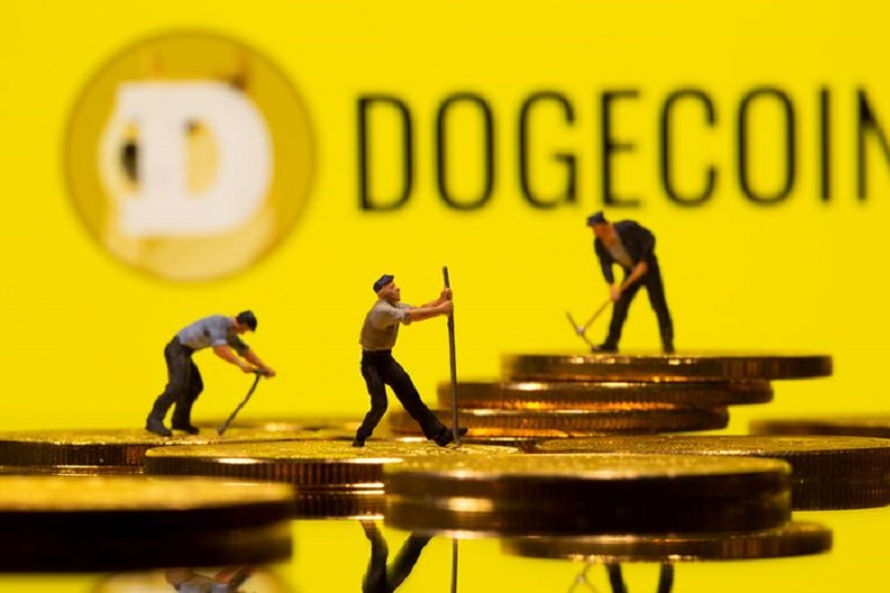Dogecoin     17%   