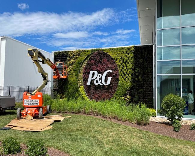 Квартальные продажи Procter & Gamble превысили прогнозы за счет высокого спроса Квартальные продажи Procter & Gamble превысили прогнозы за счет высокого спроса