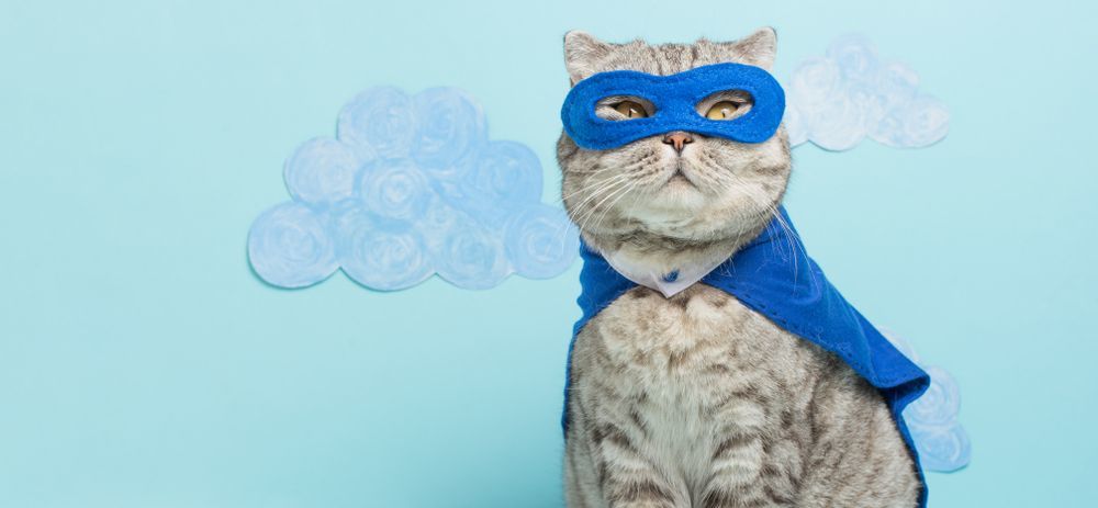 Cloudflare метит в высшую лигу. Акции +6% за сутки и +20% за неделю Cloudflare метит в высшую лигу. Акции +6% за сутки и +20% за неделю