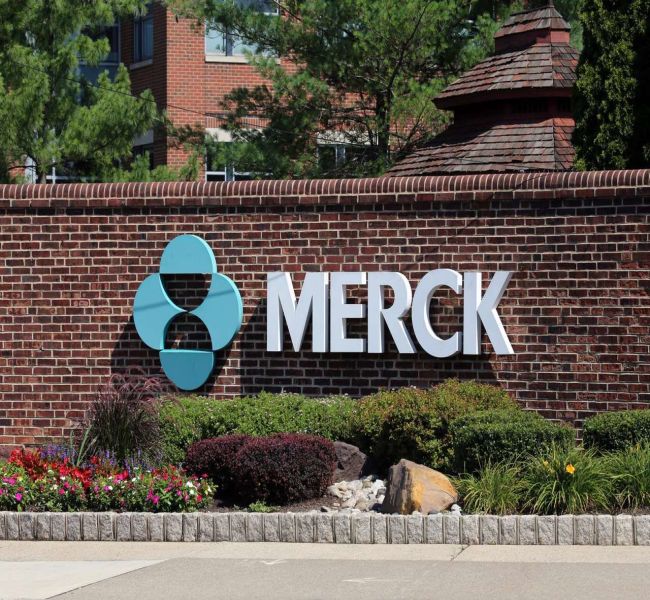 Merck: лучший квартал за год, акции у исторических пиков. Стоит ли покупать сейчас Merck: лучший квартал за год, акции у исторических пиков. Стоит ли покупать сейчас