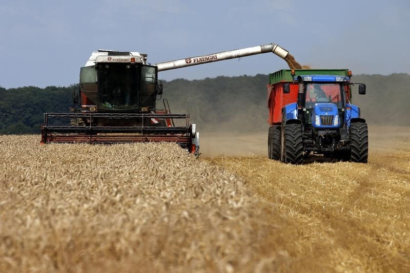 Экспортная пошлина на пшеницу с 1 декабря повысится до $80,8, на ячмень - $68,3, на кукурузу - $54,3 за тонну 