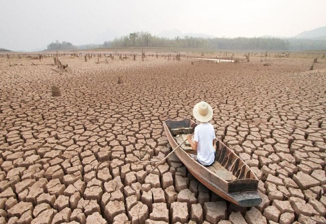 ���� ����� �� ������. ���������� � ���������� ���������� 