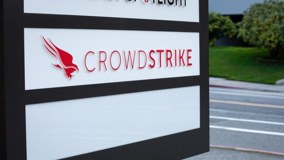 Crowdstrike: +13%  .   