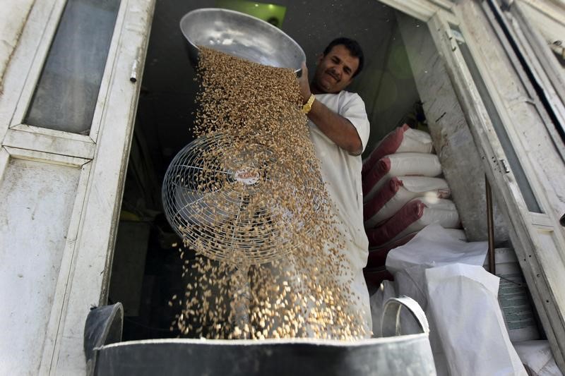 Эксперты зернового рынка повысили прогнозы сбора пшеницы в РФ в этом году