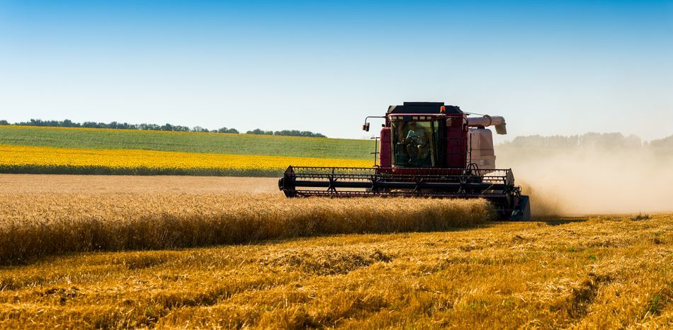 Страны G7 не будут вводить санкции против сельхозпродукции из РФ