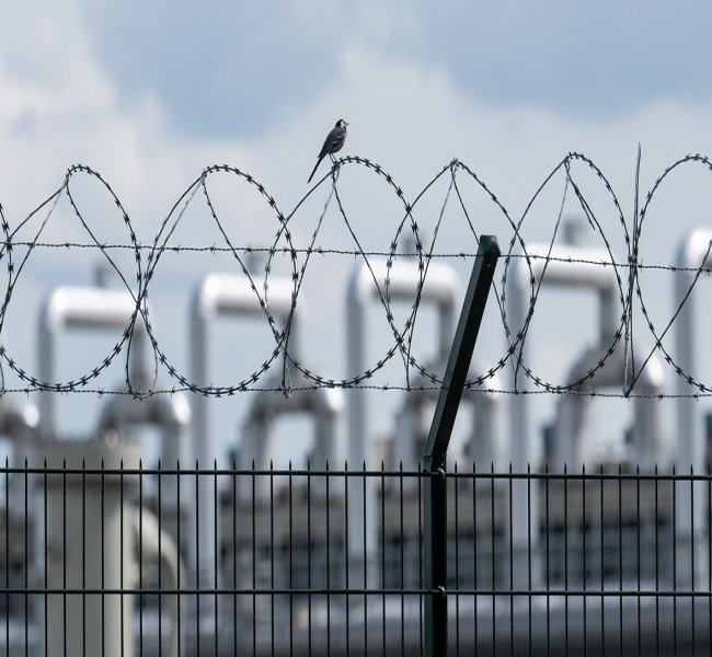 ������ �� ����� ��������� ����������� ���� �� 15%. ��� ����� �����